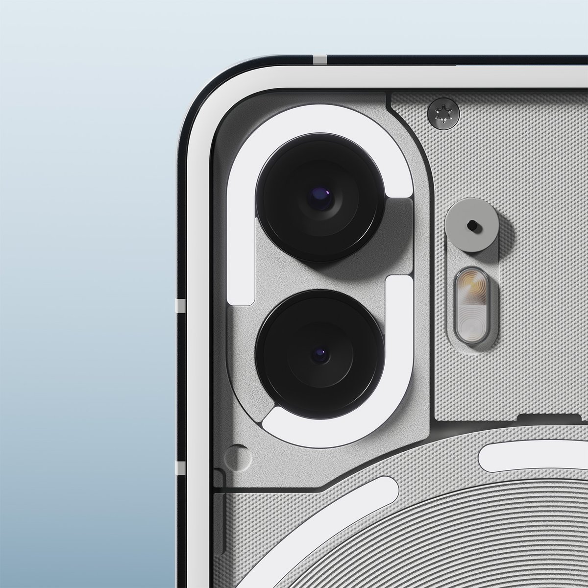 Ophidion tweet media