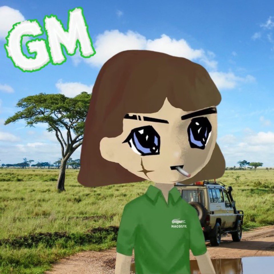 Moki🐊 tweet media