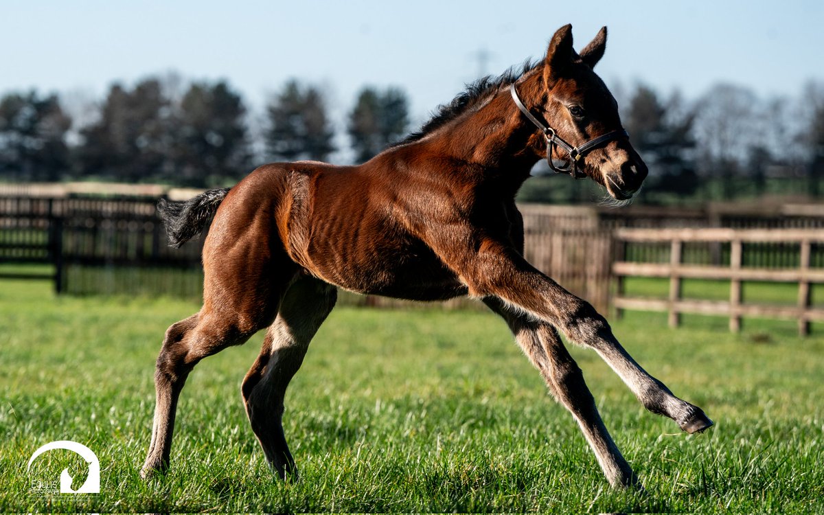 Jason Bax tweet media