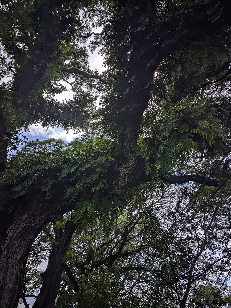 Раѕцтѓі Иоѓмаl tweet media