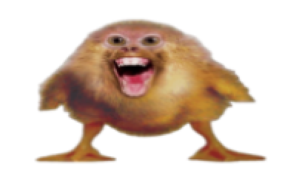 Lukas ☻ tweet media