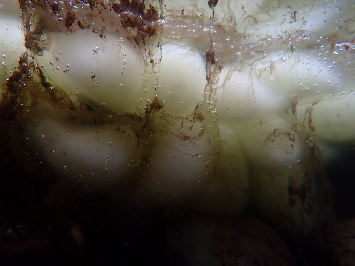 そろそろ行かなきゃなーと思ってるんですけど