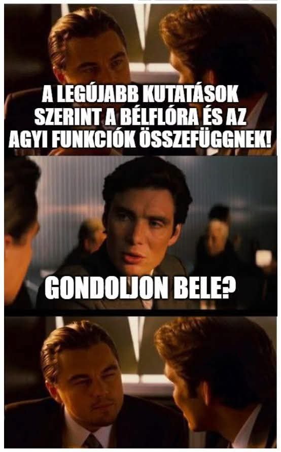 elkesetthusvetinyul tweet media