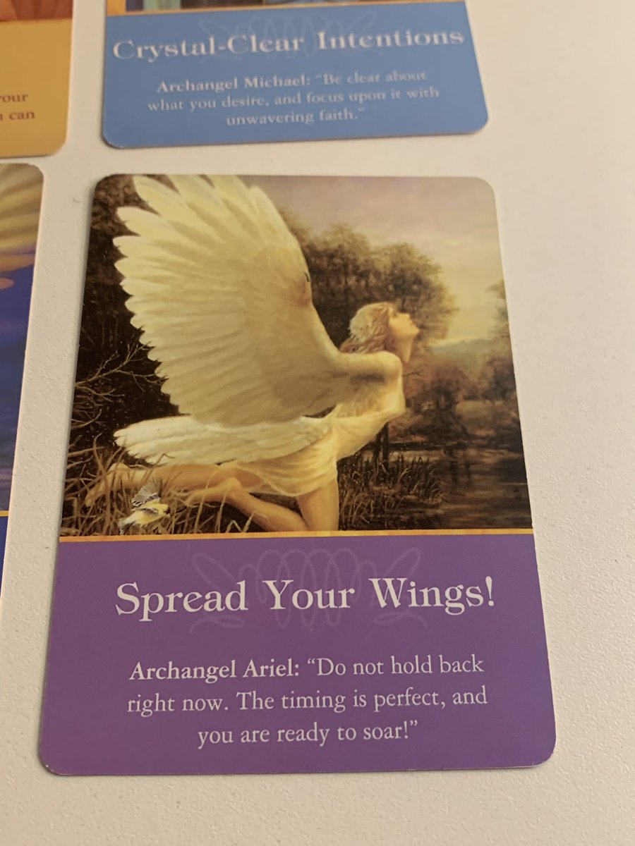 صباح الخير 🤍✨

متواجدة حاليًا لقراءة #تارو
واللي حاب يحجز قراءة أو عنده سؤال أنا جاهزة الآن 🔮

الرد فوري 💫

t.me/iwinfrr