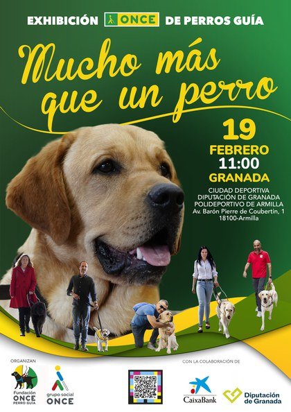 ONCE_oficial's tweet photo. ¿Quieres saber por qué los #PerrosGuía de la ONCE son #MuchoMásQueUnPerro?   

Te esperamos en la exhibición que haremos en #Granada, en la que os mostraremos cómo se trabaja con estos animales para que lleguen a ser uno de los elementos fundamentales en la movilidad, autonomía y seguridad de las personas ciegas.

🗓️19 de febrero
🕚11h
📍Polideportivo Armilla de la Ciudad Deportiva Diputación de Granada  (Av. Barón Pierre de Coubertin nº1)
ℹ️https://t.co/WvoeYSCokl

#SiempreCaminandoJuntos👣📷 #FOPG
@dipgra @caixabank @AytoArmilla @loly_armilla @SubdeGobGranada #ONCEAndalucía @UsuariosGuia