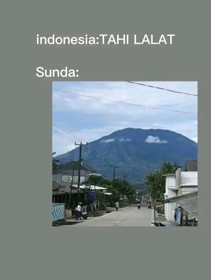 Iyang April tweet media