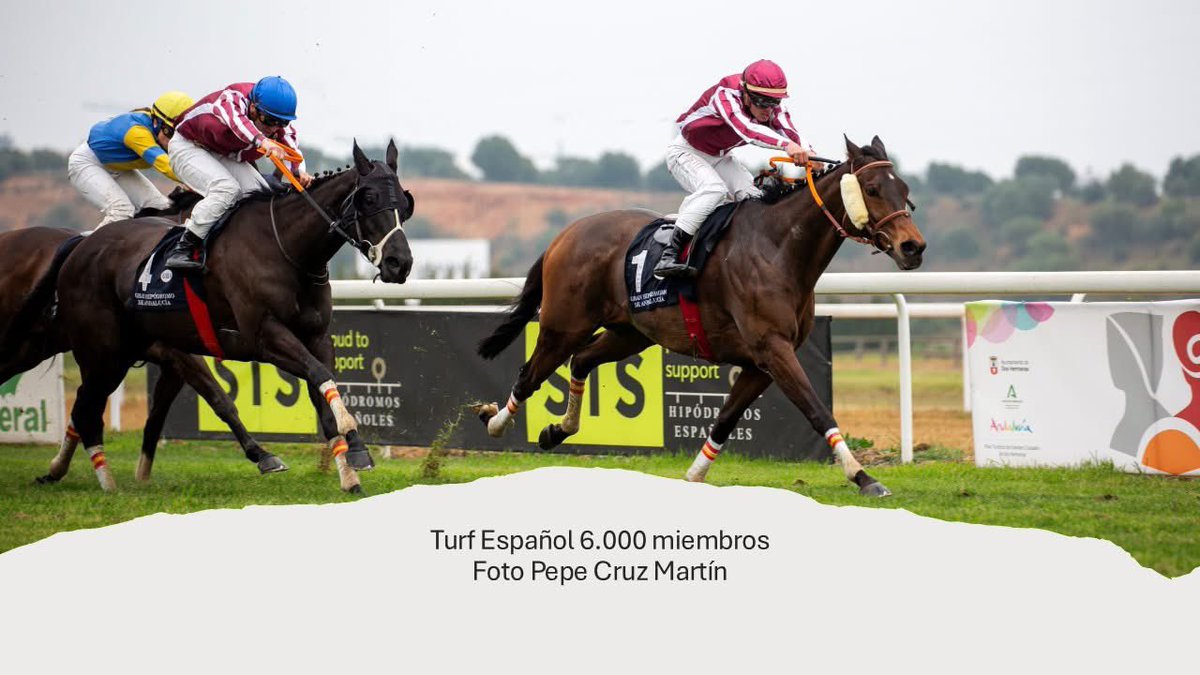 Tosgriju's tweet photo. Un nuevo hito. En el grupo Turf español llegamos a los 6.000 miembros 
Gracias a todos ellos por apoyar las carreras de caballos en España 
Foto @PepeCruz_Martin con @Nicodejulian y @jgelabertb en @GranHipodromo2H 

https://t.co/fxKIoiPF8A https://t.co/KapBzEA7Om