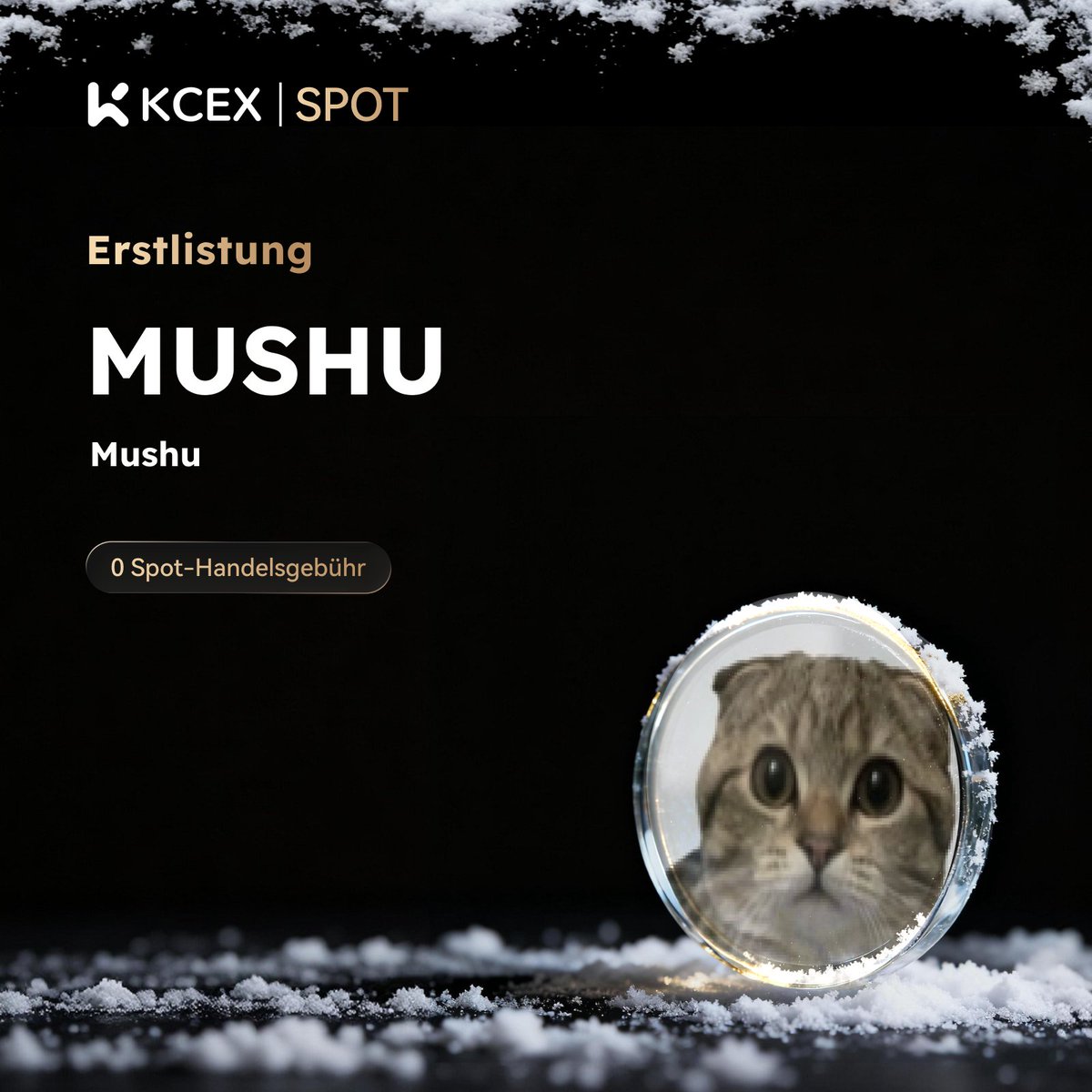 #KCEX Erstnotierung!
Genießen Sie 0 Gebühren beim Spot-Trading

$MUSHU, ein Meme-Coin auf der #SOL-Chain, ist jetzt live auf KCEX Spot.

📥 Einzahlungen: Geöffnet
⏰ Handel beginnt: 16.02.2026, 08:40 (UTC)

📈 Jetzt handeln: kcex.com/exchange/MUSHU…
ℹ️ Details: