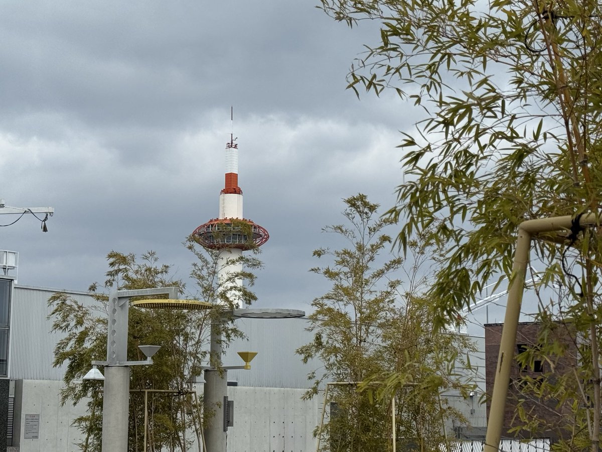 朝は京都中央卸売市場の水産棟を見学🐟
市場でよく見るこれに乗って運転の擬似体験してみたり、市場内のうどん屋さんにも行った
その後、長岡天満宮へ
午後は、京都駅の大階段の上の屋上でボーッとして過ごしたり😅
屋上からの京都タワーもいいね
暑かった昨日までとは違い、今日は風もあって寒かった