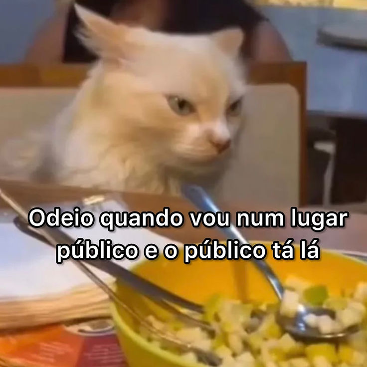 teu caos tweet media