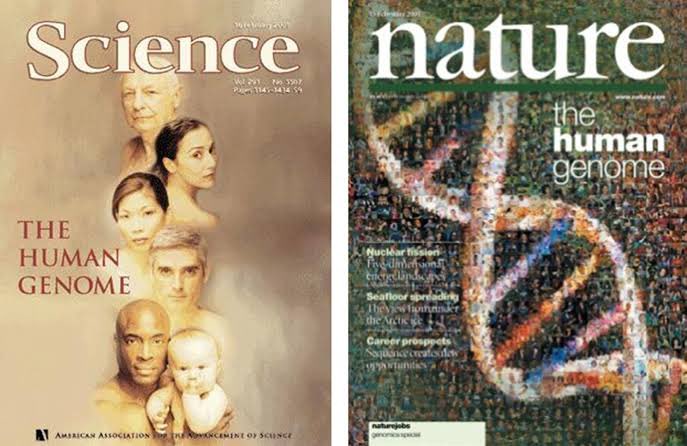 Claudia Costin tweet media