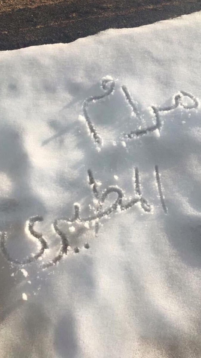 #صباح_الخير_والسعادة_للجميع
#حبيت_أقول
#بوح_الخاطر 

ممحل الصمت ياغصن الكلام الندي
واول الغيث قطره من سحاب الشعور
كل ماشفت خيل الذكريات اتعدي 
احسب الحلم ثابت والاماني تدور ..🚶🏾‍♀️