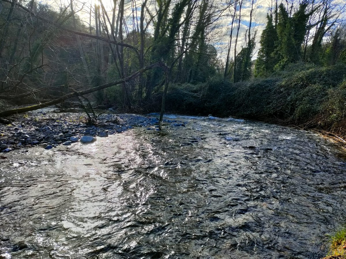 Turisme Montseny tweet media