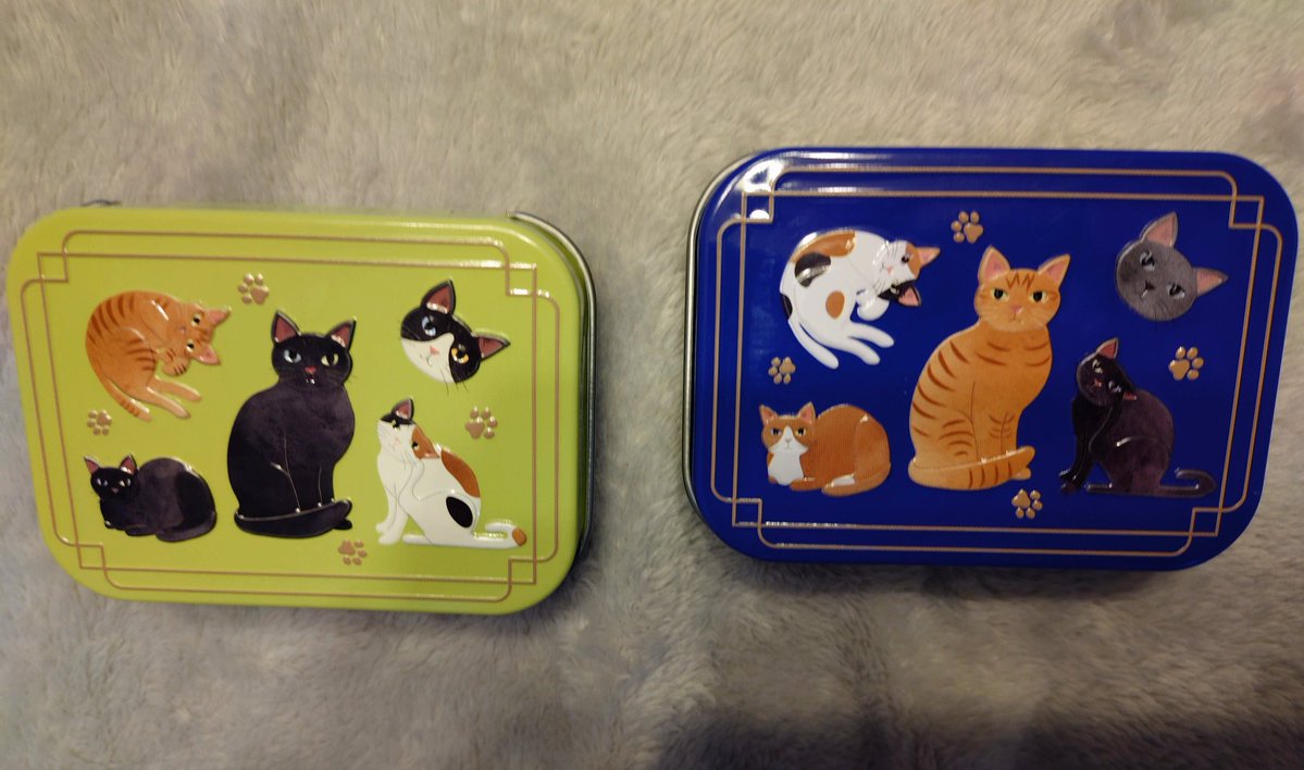 ネコっ……！　圧倒的猫っ……！