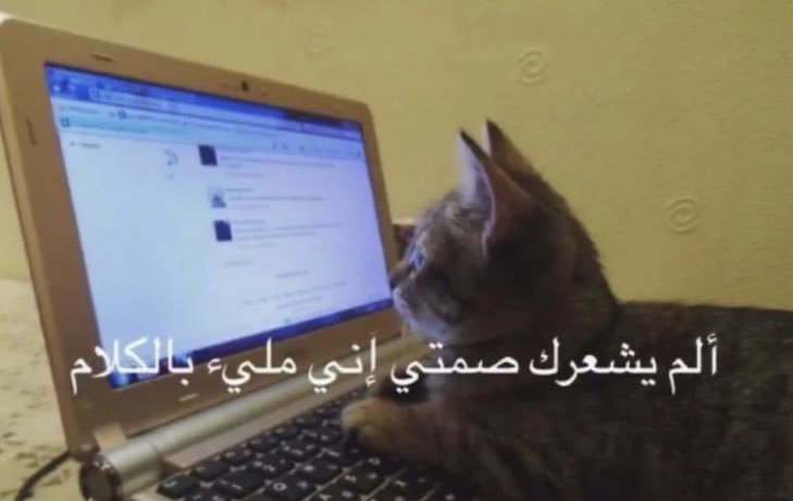 سيسي عبدو tweet media