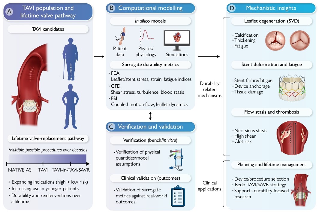 ESC_Journals's tweet image. Understanding the mechanisms of TAVI durability through computational modelling: a multidisciplinary review ow.ly/7tIY50Yf6vZ 

#EHJDigital #eHealth #TAVR
@BruiningNico @rafavidalperez @fwasselbergs @EAPCIPresident