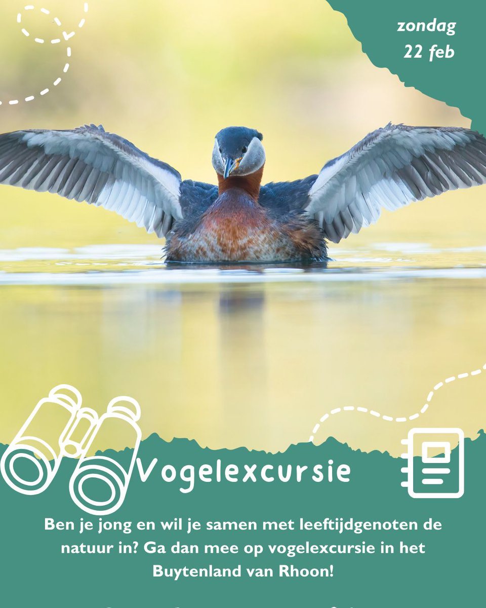 Dit open, waterrijke polderlandschap is een belangrijk gebied voor vogels en biedt elk seizoen weer iets bijzonders. #natuur #avontuur #jongeren #beleven #ontdekken #soorten #scoren #NJN #bos #nature #youth #naarbuiten #buiten #kamperen #weekend #vogel #Rhoon #buytenland