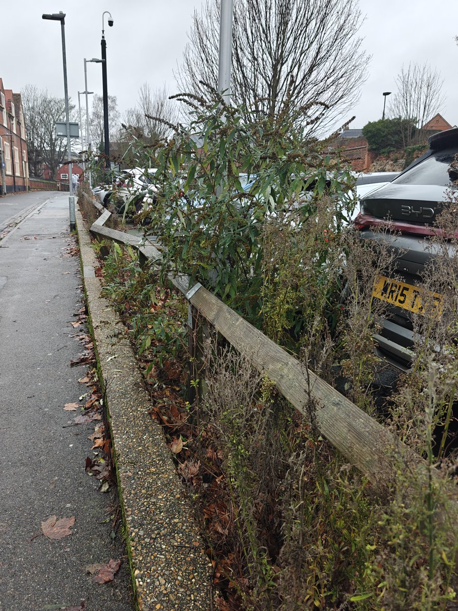 ColCivicSociety's tweet photo. 1/2
#SeenReportedSorted

The Priory Street Car Park had long needed a TLC. Multiple fence rails were broken or missing and there was uncontrolled weed growth. We reported - and then escalated - it with the city council - who sorted it.

Great job - thanks folks.👍 
#CivicPride https://t.co/KTJGdUMsEu