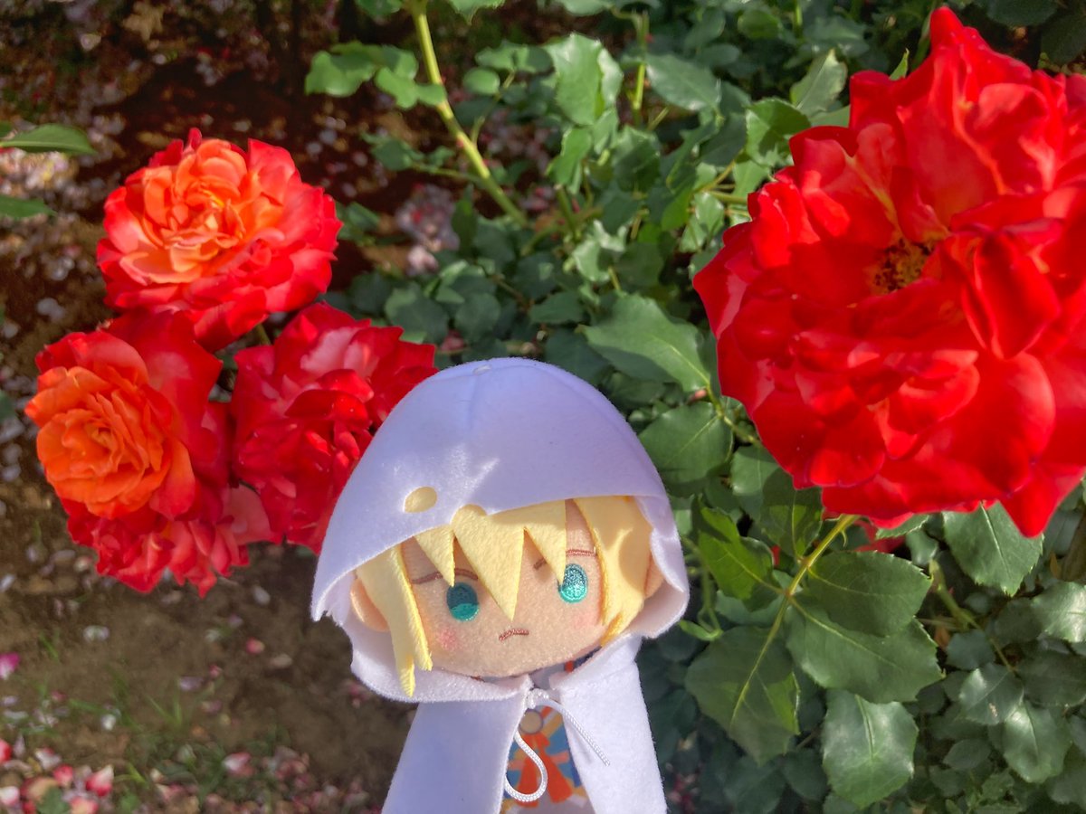 yu304's tweet photo. お花と写ってるとアリ工ッティっぽいな⸜🌷︎⸝‍
コ□ポックルか https://t.co/zvXxhCUOqD