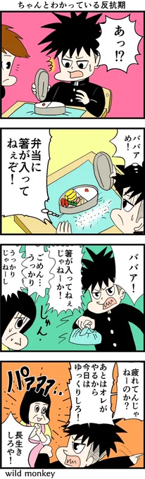 【4コマ漫画】
ちゃんとわかっている反抗期 