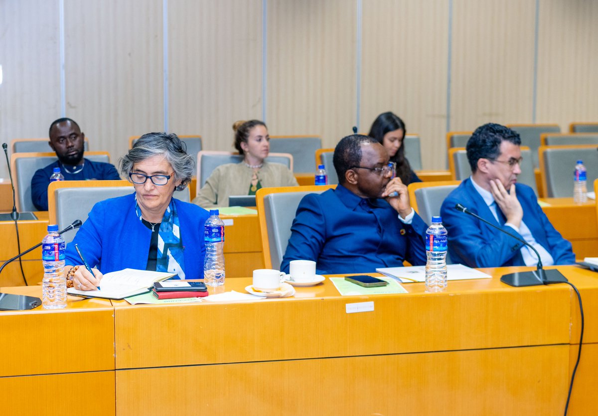 United Nations The Gambia tweet media