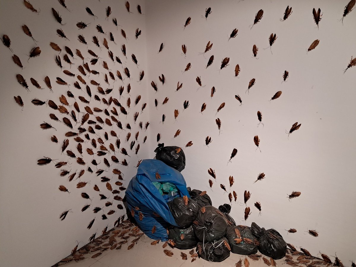 sajith2009's tweet photo. Visited #Kochi Biennale today. Mediocrity is writ large on the canvas and frames https://t.co/jyYgafs37n