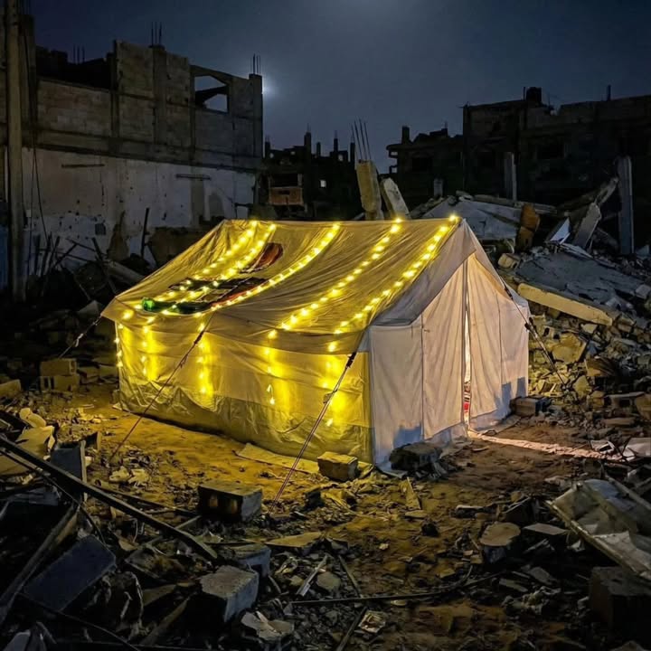 Human Appeal France tweet media