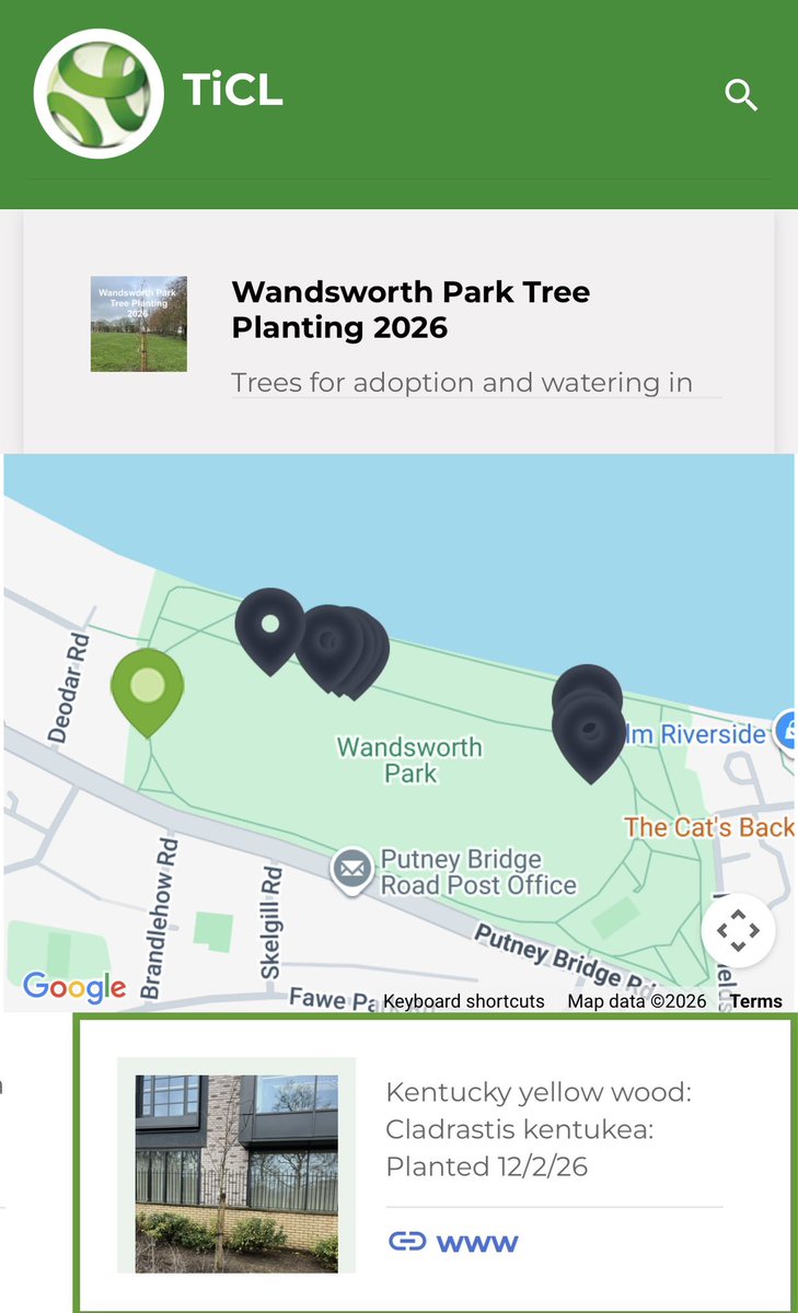 WandsworthPark's tweet photo. 9 new trees planted in Wandsworth park - interesting species too! @wandbc 

We’ve made a list and map @TiCLme 

https://t.co/0PVTxAxkY4

We will be adopting them - giving them named Friends @WandsworthPark to make sure they get the best start

#befriendatree #treefriends https://t.co/m7qh75d7dA