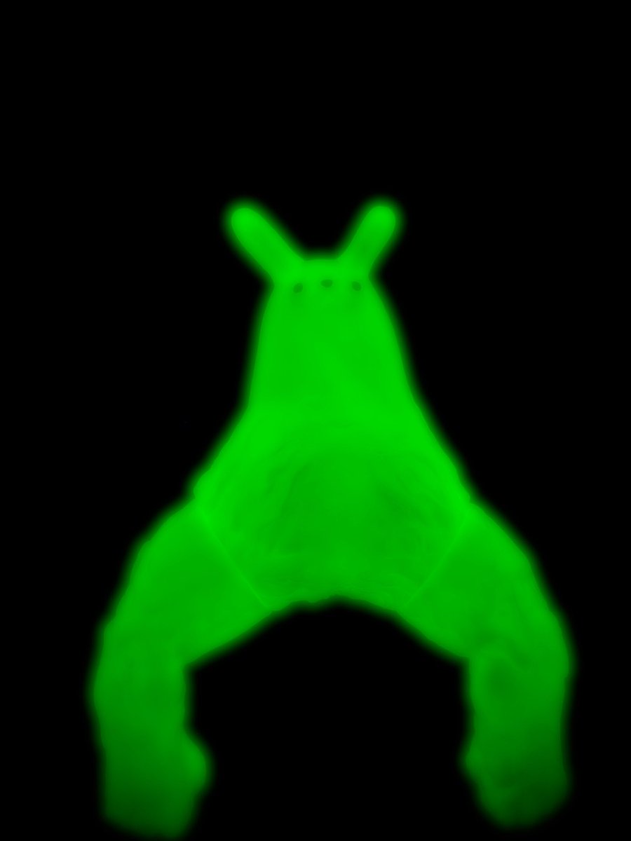 熱でうなされる中、枕元に現れたのは、
光を放つウサギだった。

力強く立ち続けるウサギは、
何もすることなく、
次第に光を失っていった。

その時、私はようやく深い眠りに落ちた。

#暗黒エンターテイメント
#ソフビ
#sofvi