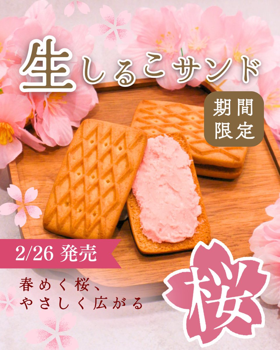 Twshirukosand's tweet photo. ／
📢 2026年2月26日（木）発売！ ⊹⁺
＼

🌸【期間限定】 #生しるこサンド桜 

華やかな桜の香りに包まれるおやつ時間🌸⊹⁺
春らしい桜フレーバーが今年も登場します🥰

食べたい！と思ったら
リポストやコメントで教えてください👍🏻✨

#松永製菓 #しるこサンド #生しるこサンド https://t.co/Z28257lasL