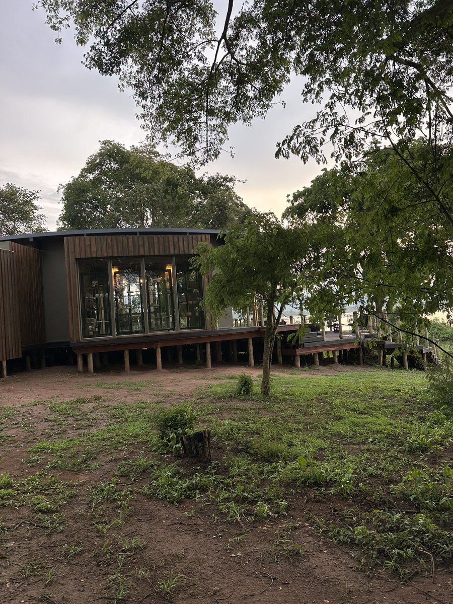 Sol_Solange tweet media