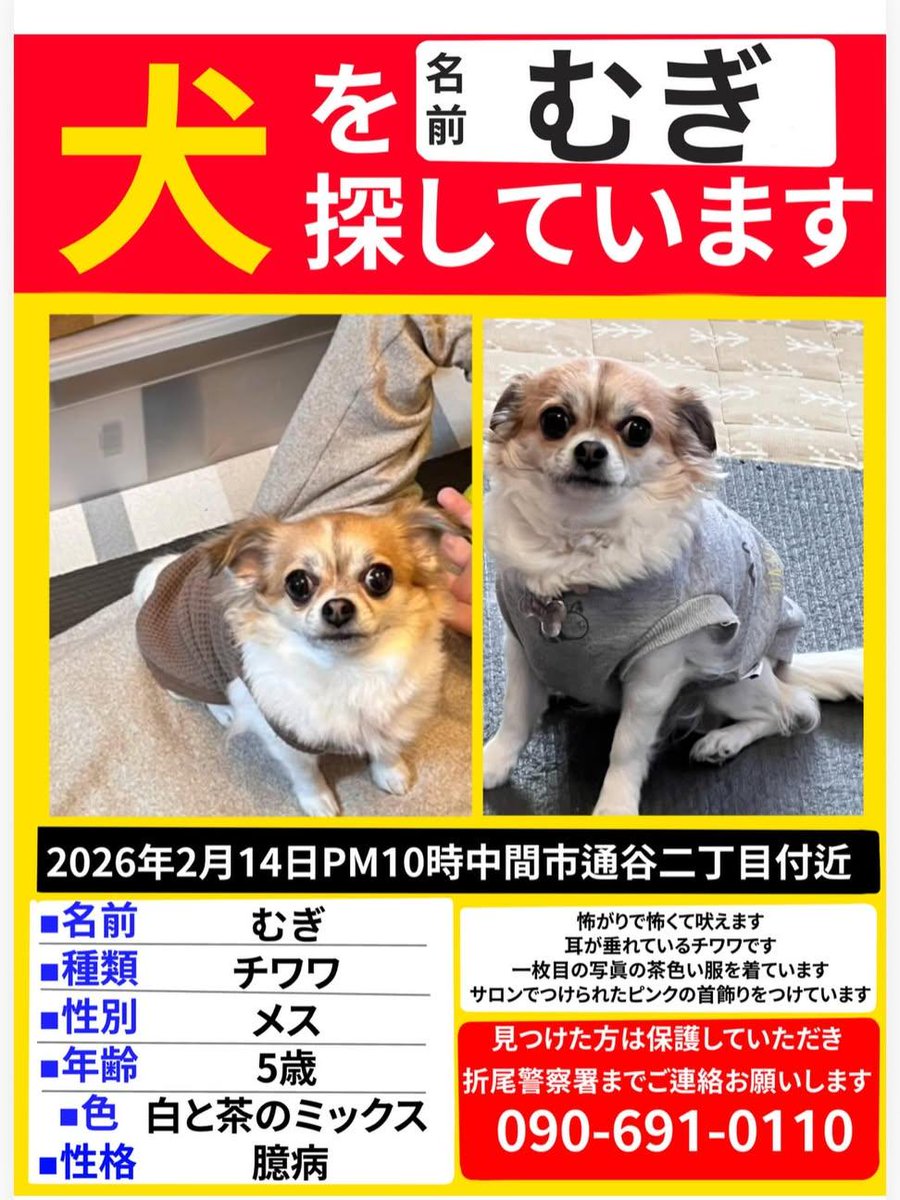むぎちゃん