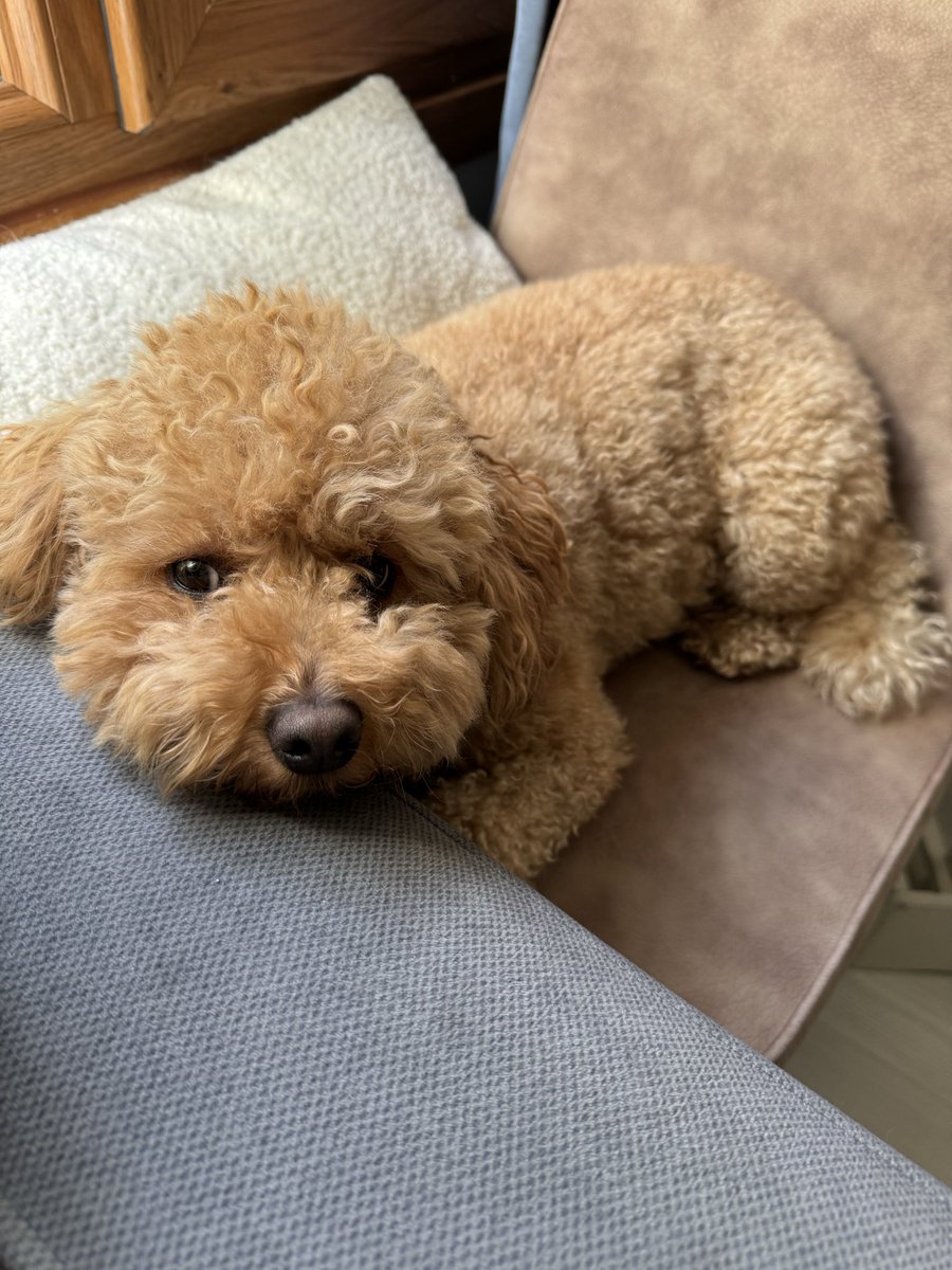 Teddy 🧸 tweet media