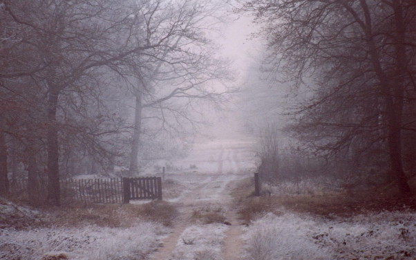 Viv Writes Mystery & Romance tweet media