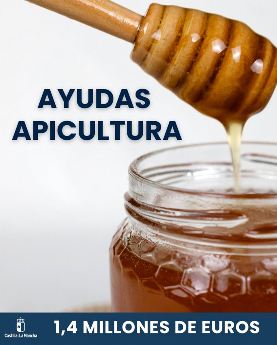 🐝 Ayudas apicultura 2026.
<a href="/AgriculturaClm/">Consejería de Agricultura, Ganadería y Des. Rural</a> moviliza 1,42 M€ para el sector en Castilla-La Mancha.
Sanidad, modernización, reinas y enjambres, trashumancia, clima, análisis y seguridad.

Infórmate y elige la línea que mejor encaja 👇
#DOCM ▶️ acortar.link/jwNMB2
