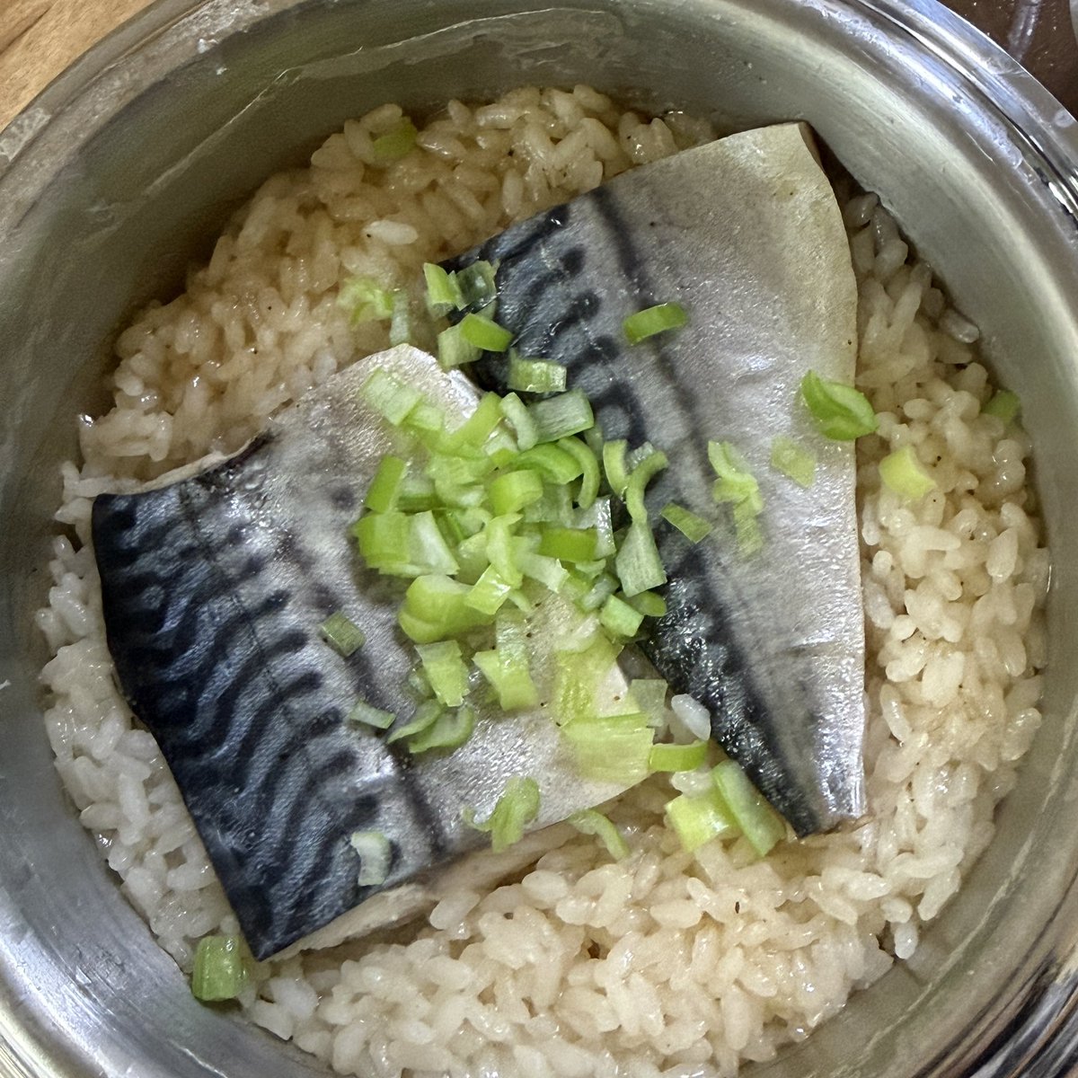 jettyvibe's tweet image. 제 솥밥… 어때요? 레이디들이 알려준거 열심히 참고함 .