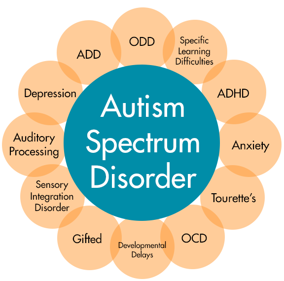Autism doesn’t look one way - because it isn’t one defined ‘thing’.

Autism is a spectrum, not a single experience.
Some people need 24/7 support.
 Some live independently.
 Some communicate verbally, some don’t.
 Some need structure to feel safe; others need flexibility to