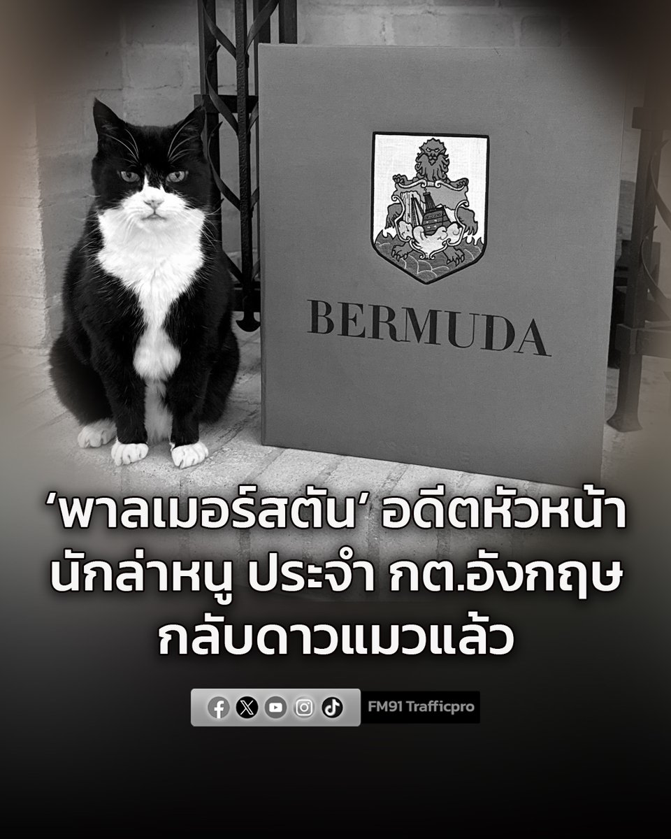 ‘พาลเมอร์สตัน’ แมวลายวัว อดีตหัวหน้านักล่าหนูประจำ กต.อังกฤษ กลับดาวแมวแล้วในวัย 15 ปี

fm91bkk.com/newsarticle/66…

#พาลเมอร์สตัน #แมวลายวัว #อดีตหัวหน้านักล่าหนู #กระทรวงการต่างประเทศอังกฤษ #ข่าวต่างประเทศ #สวพ91 #FM91