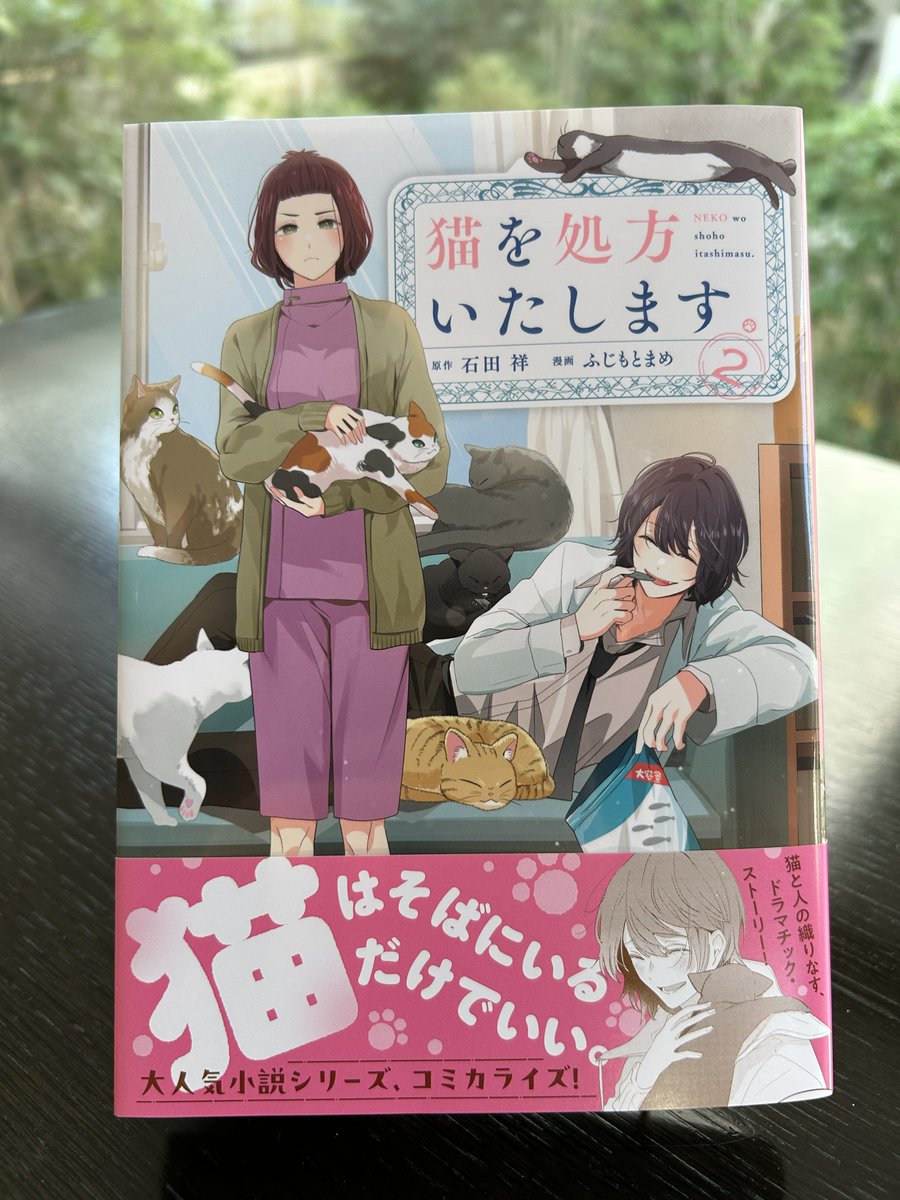 ふじもとまめ🐢 (@fujimame_mopi) / Posts / X