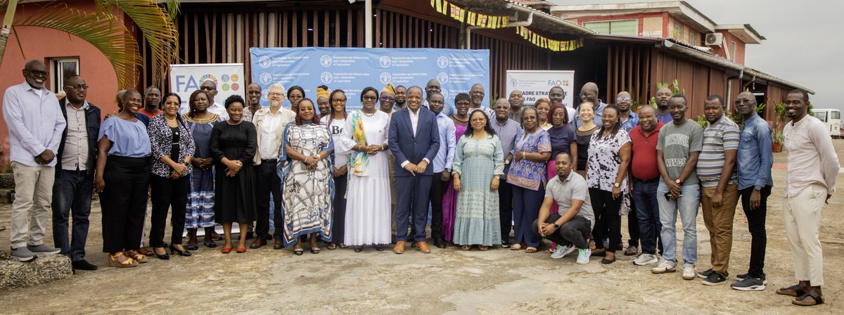 ONU Gabon tweet media