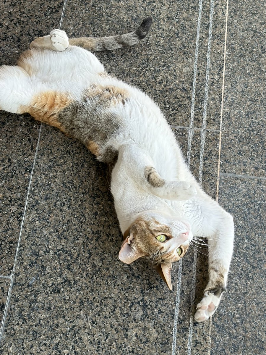 Ruby❤️‍🔥 (@_penpowder) on Twitter photo 