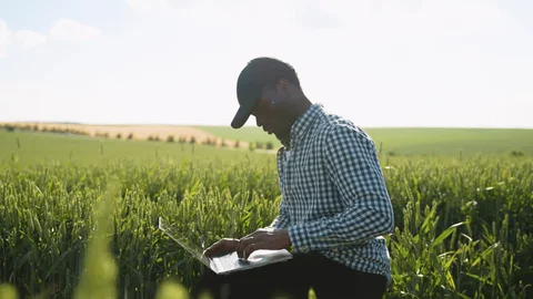 ideal_farmers's tweet photo. Record-keeping is not optional in #agribusiness. 

What you measure, you can improve. 
What you ignore, you lose. https://t.co/FNR01OVEPm