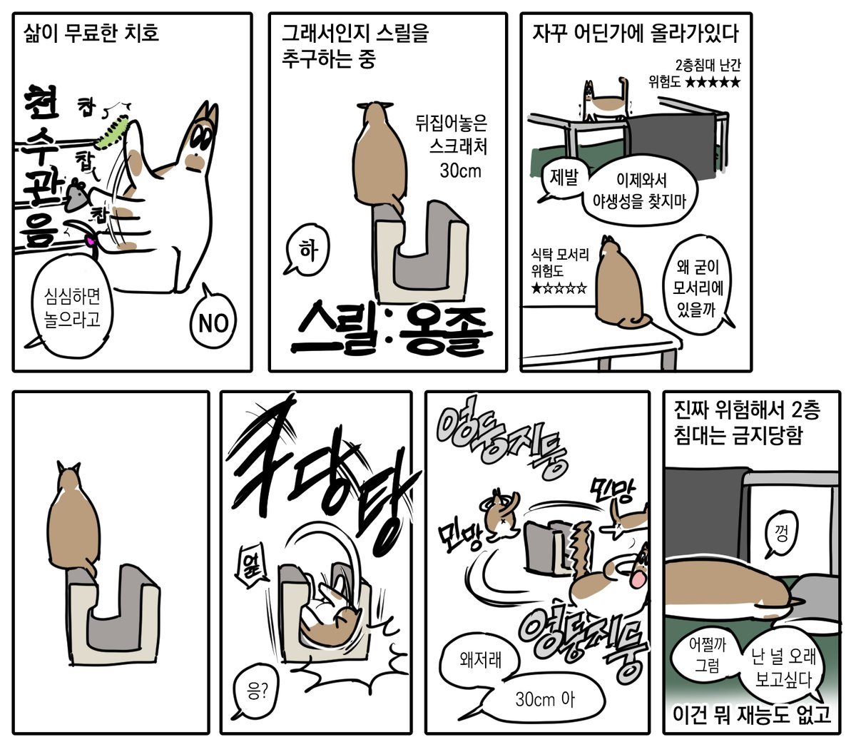 피스타치호 (@pistachih0) on Twitter photo 