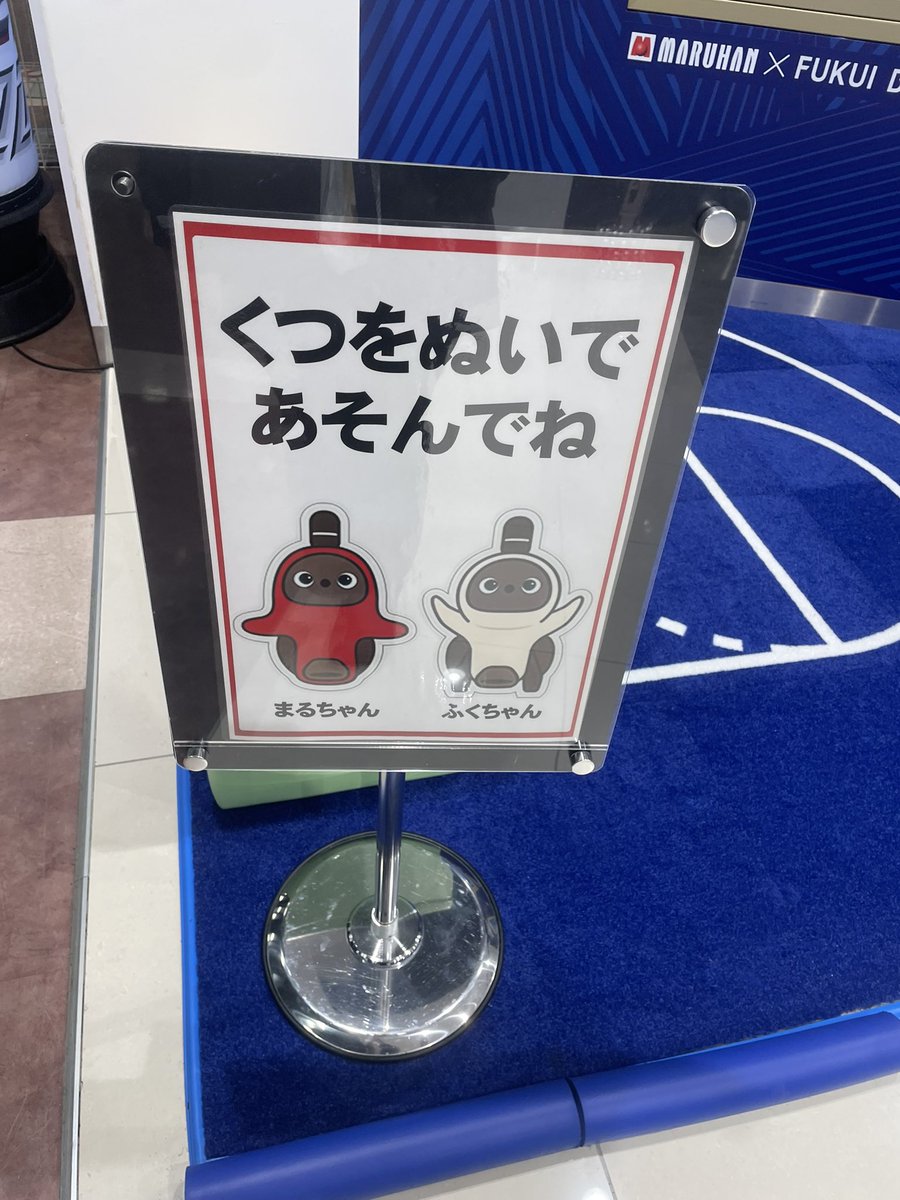 ふくちゃん😭 まだいなかった、、