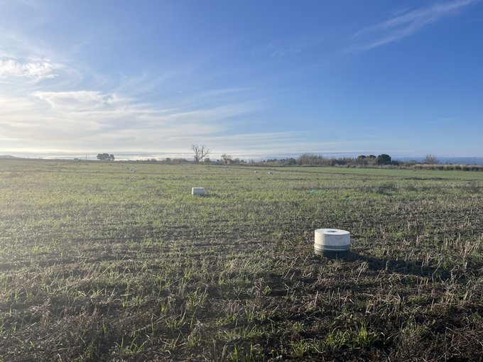 EEAD_CSIC's tweet photo. 🔬🌱Beca JAE-Intro CSIC  para estudiantes de Grado o Máster

Proyecto #DIVERSOIL (suelos, diversificación de cultivos y cambio climático)

🗓️ 7 meses | 20 h./sem. | 💶 600 €/mes

Solicitudes: 9 feb–10 mar 2026

🔗https://t.co/3n6r3ygLuN

#CSIC #TFM #SoilScience #CambioClimático https://t.co/IulpEKxuv5