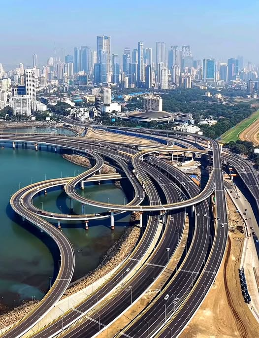 India Plus tweet media