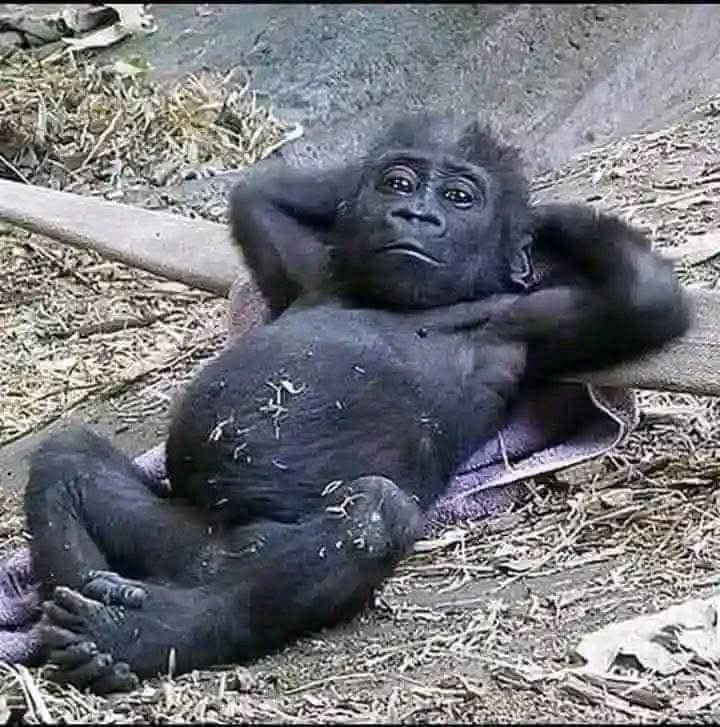 Gm CT fam

Happy New Week Everyone

Wishing everyone a wonderful &amp; productive week ahead!