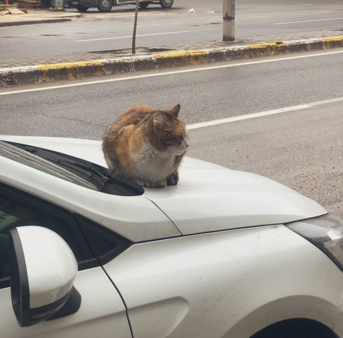 Çokça kalp🙃❤️