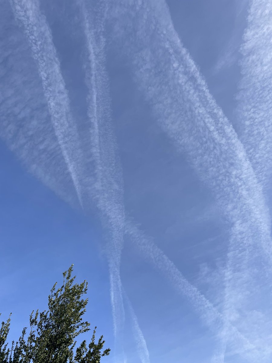 Hemos amanecido con el cielo azul y limpio. En un rato, cielo blanquecino y más calor. Y hay quien no lo ve…