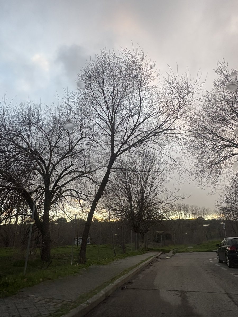 eltelefonillo's tweet photo. Este árbol a punto de caer, no corresponde con la zona de arbolado de @MADRID Por lo que podemos esperar a que caiga sobre un vehículo o peatón, que ya estará en su zona. Los vecinos no somos culpables de sus competencias o incompetencias. Si no es suyo, comuníquenlo al dueño https://t.co/9zarCNWeFR